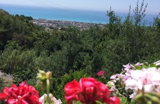 B&B Dei Fiori Praia a Mare Buitenkant foto