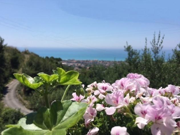 B&B Dei Fiori Praia a Mare Buitenkant foto