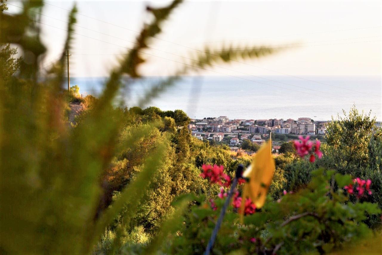 B&B Dei Fiori Praia a Mare Buitenkant foto